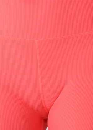 Gym To Swim 12cm Bike Shorts